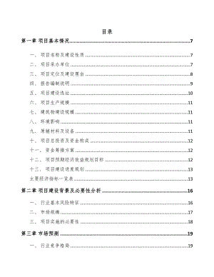 江西PP片材项目可行性研究报告模板范文(DOC 81页)