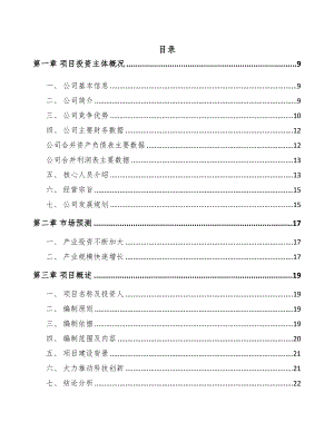 年产xxx套应用级芯片项目投资价值分析报告(DOC 91页)