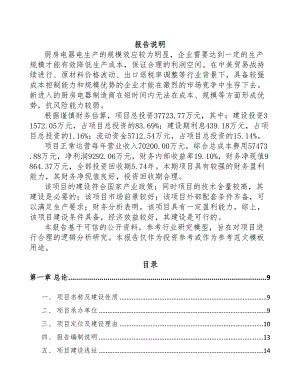 绵阳厨房电器项目可行性研究报告(DOC 100页)