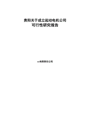 贵阳关于成立起动电机公司可行性研究报告(DOC 78页)