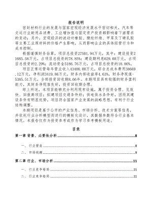 海南密封材料项目可行性研究报告(DOC 85页)
