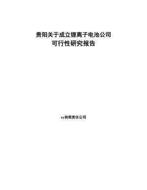 贵阳关于成立锂离子电池公司可行性研究报告(DOC 81页)
