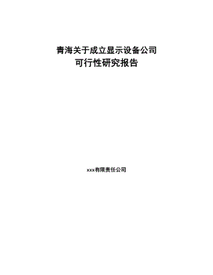 青海关于成立显示设备公司可行性研究报告(DOC 101页)
