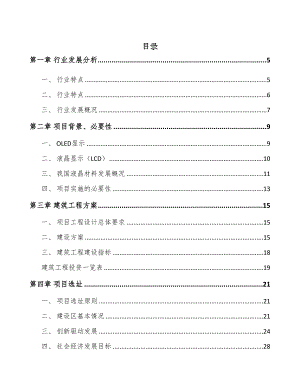贵州液晶显示材料项目可行性研究报告(DOC 64页)