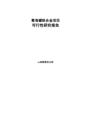 青海硼铁合金项目可行性研究报告(DOC 100页)