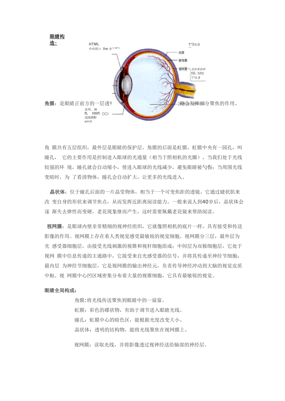 眼睛与视力_第1页