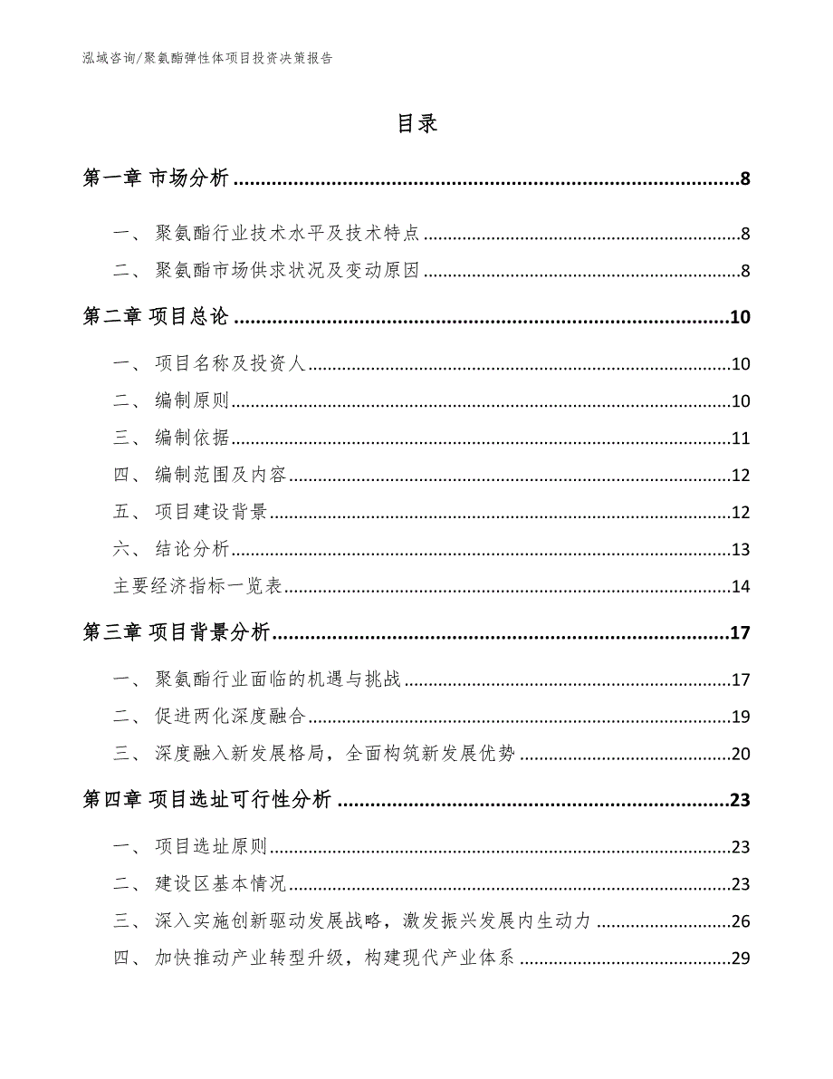 聚氨酯弹性体项目投资决策报告_第1页