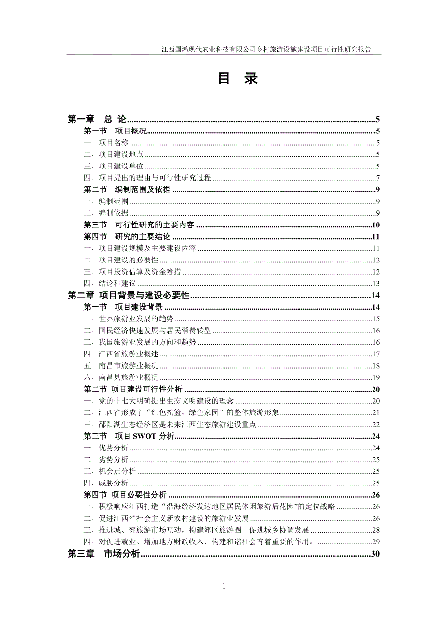 国鸿现代科技有限公司乡村旅游设施建设项目可行性研究报告_第1页