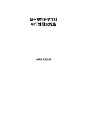 郑州塑料粒子项目可行性研究报告范文(DOC 67页)