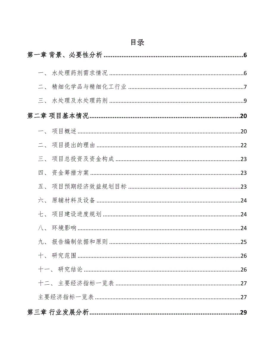 石家庄水处理药剂项目可行性研究报告(DOC 80页)_第1页