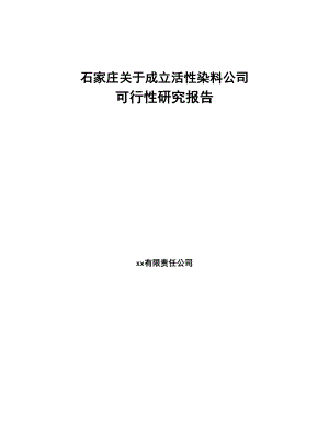 石家庄关于成立活性染料公司可行性研究报告(DOC 90页)