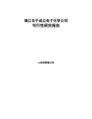 镇江关于成立电子化学公司可行性研究报告(DOC 106页)