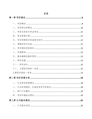 石家庄阀门执行机构项目可行性研究报告(DOC 86页)