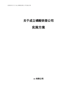 关于成立磷酸铁锂公司实施方案