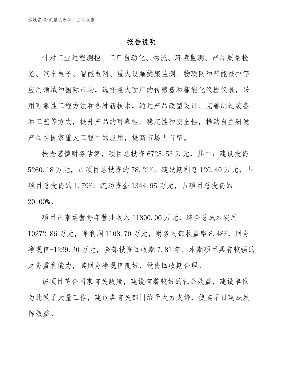 流量仪表项目立项报告模板参考_第1页