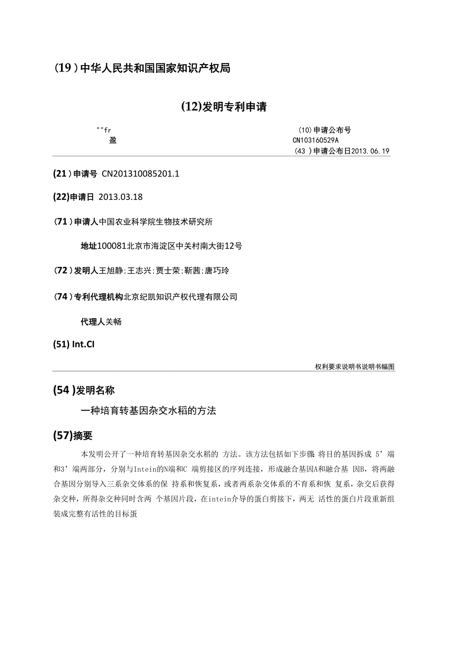 一种培育转基因杂交水稻的方法_第1页