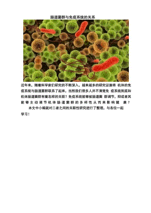 肠道菌群与免疫系统的关系