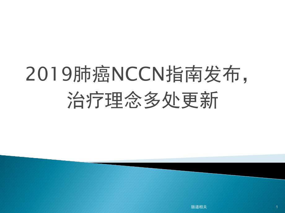 肺癌NCCN的指南更新要点说明（专业应用）_第1页