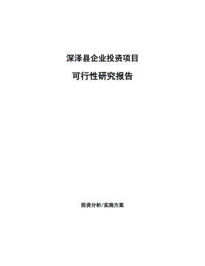 深泽县项目研究报告(项目申请模板)