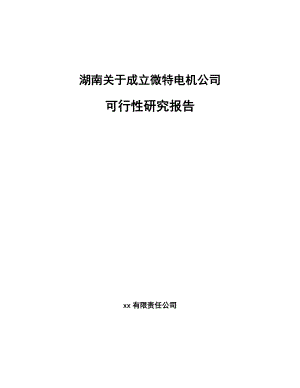 湖南关于成立微特电机公司可行性研究报告