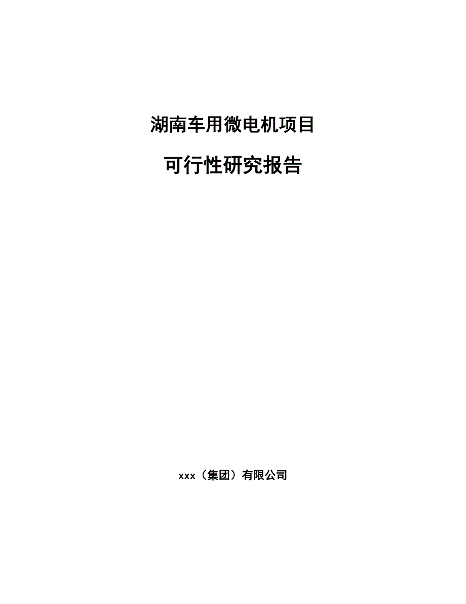 湖南车用微电机项目可行性研究报告_第1页