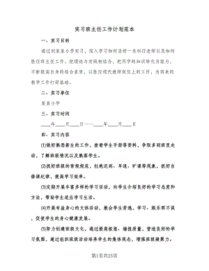 实习班主任工作计划范本（八篇）.doc