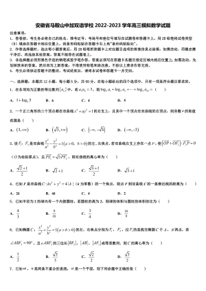 安徽省马鞍山中加双语学校2022-2023学年高三模拟数学试题