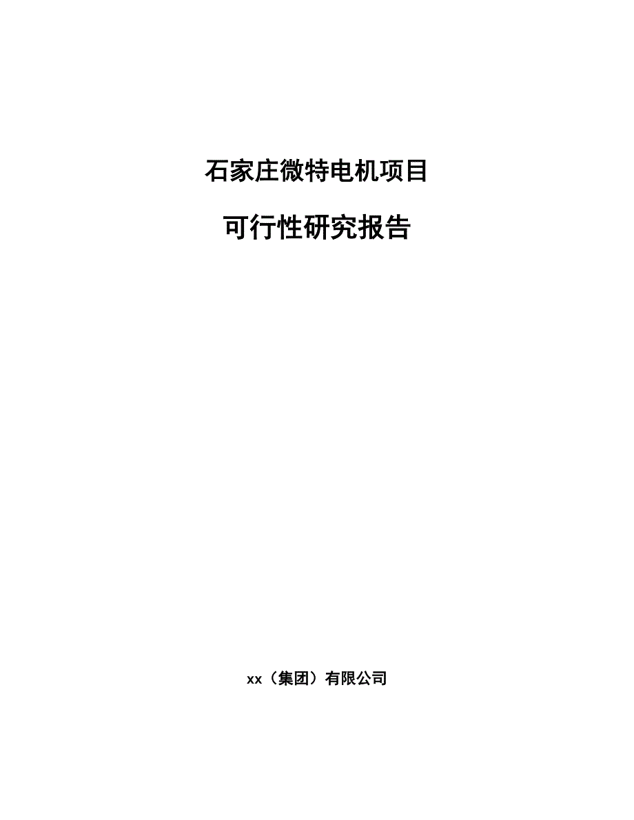 石家庄微特电机项目可行性研究报告_第1页