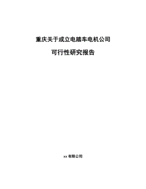 重庆关于成立电踏车电机公司可行性研究报告