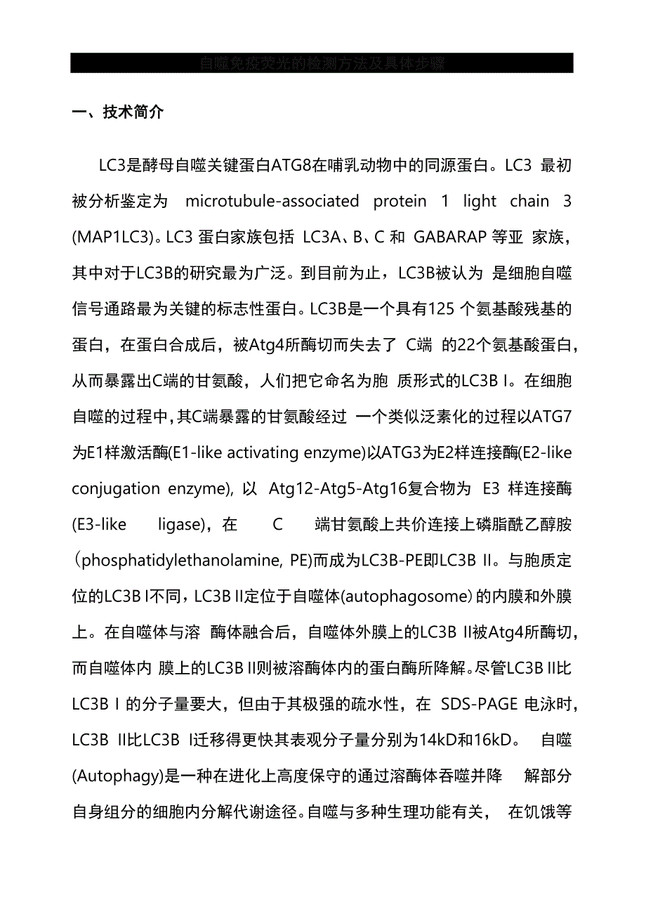 自噬免疫荧光的检测方法及具体步骤_第1页