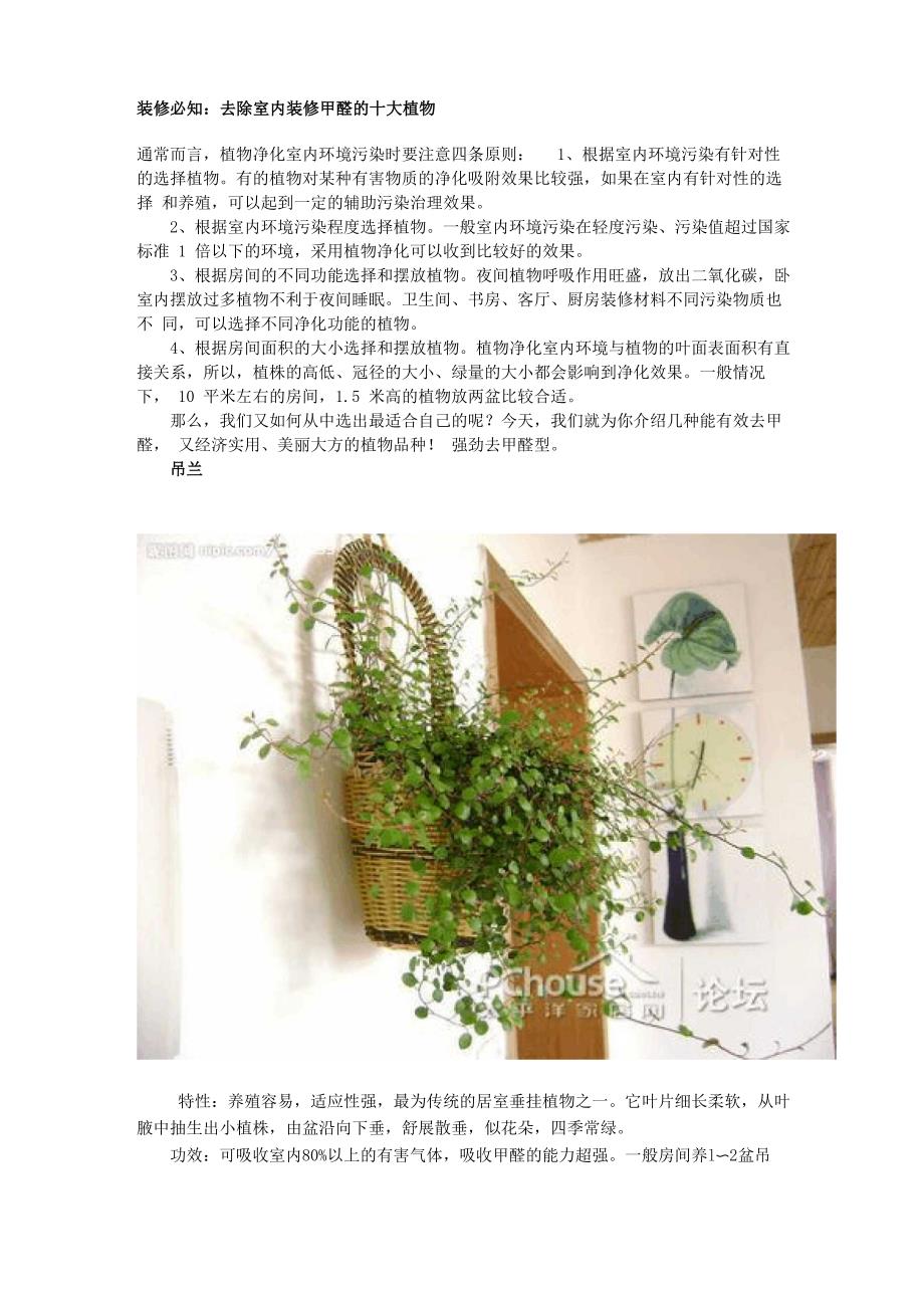 装修必知：去除室内装修甲醛的十大植物_第1页