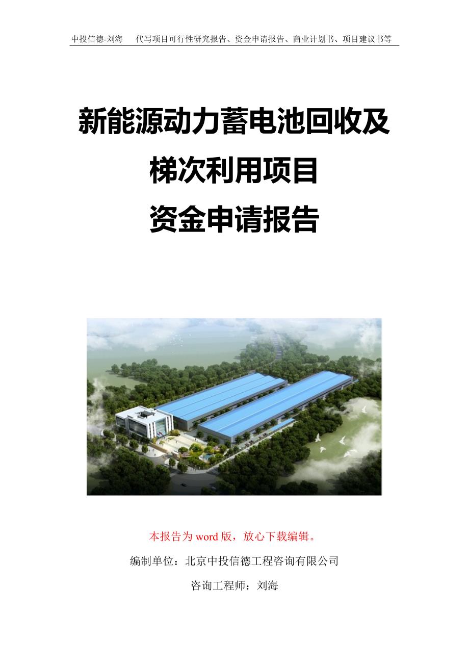 新能源动力蓄电池回收及梯次利用项目资金申请报告写作模板定制_第1页