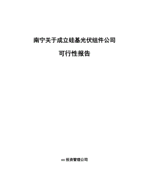 南宁关于成立硅基光伏组件公司可行性报告