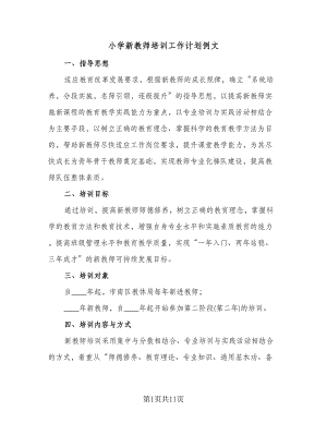 小学新教师培训工作计划例文（三篇）.doc