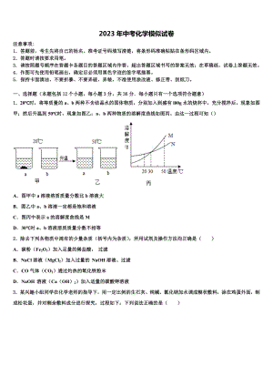 2023届黑龙江省齐齐哈尔市龙沙区中考化学对点突破模拟试卷含解析