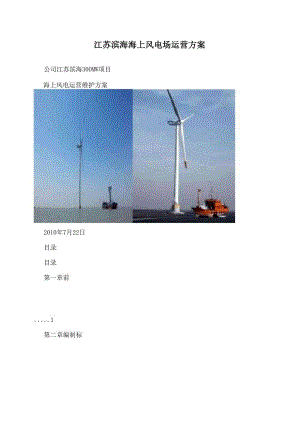 江苏滨海海上风电场运营方案
