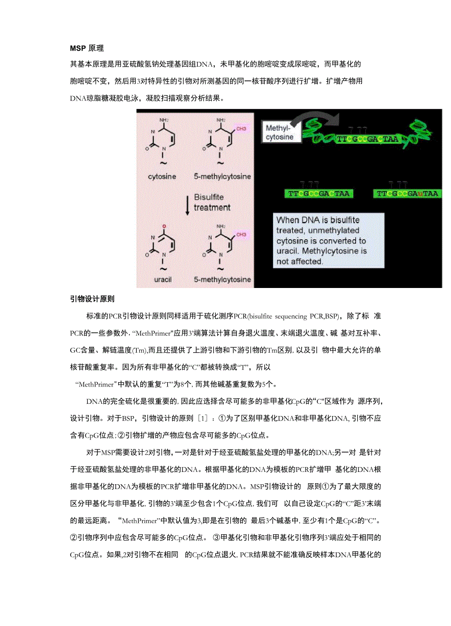 甲基化特异性PCR原理及引物设计_第1页