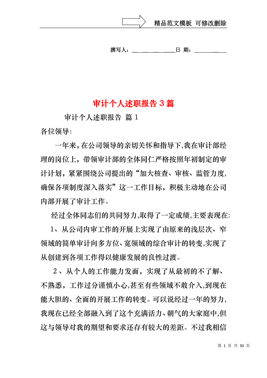 审计个人述职报告3篇_第1页