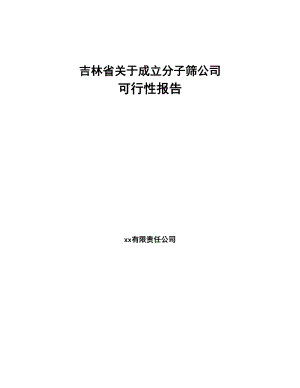 吉林省关于成立分子筛公司可行性报告(DOC 86页)