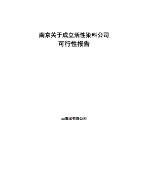 南京关于成立活性染料公司可行性报告(DOC 97页)