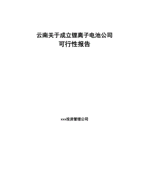 云南关于成立锂离子电池公司可行性报告(DOC 94页)