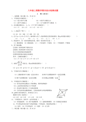 四川师大附中八年级数学上期综合检测试题（分A、B卷）北师大版