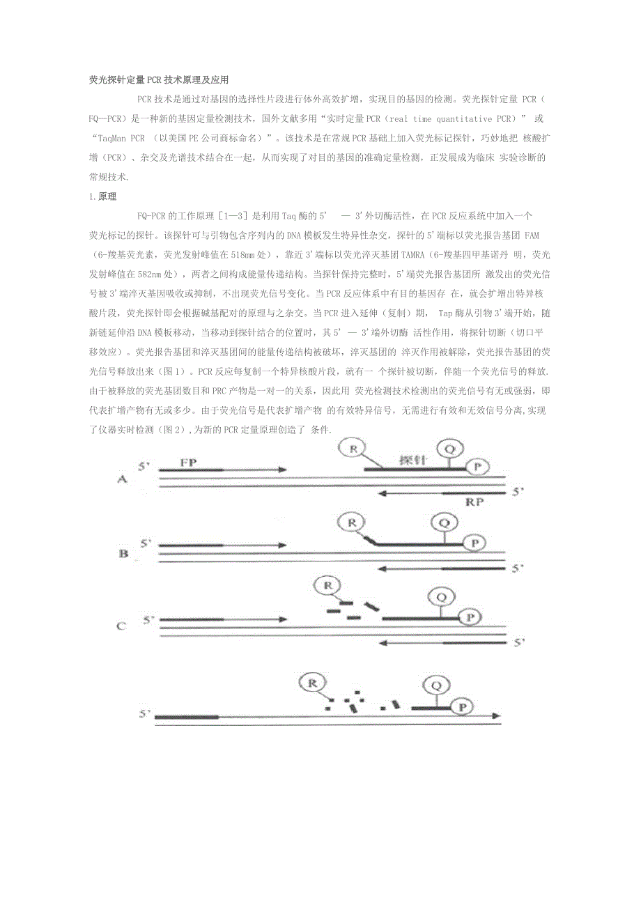 荧光探针定量PCR技术原理及应用_第1页