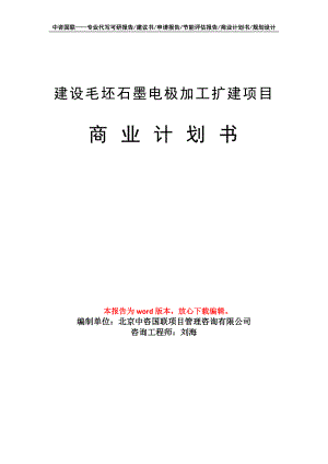 建设毛坯石墨电极加工扩建项目商业计划书写作模板-融资