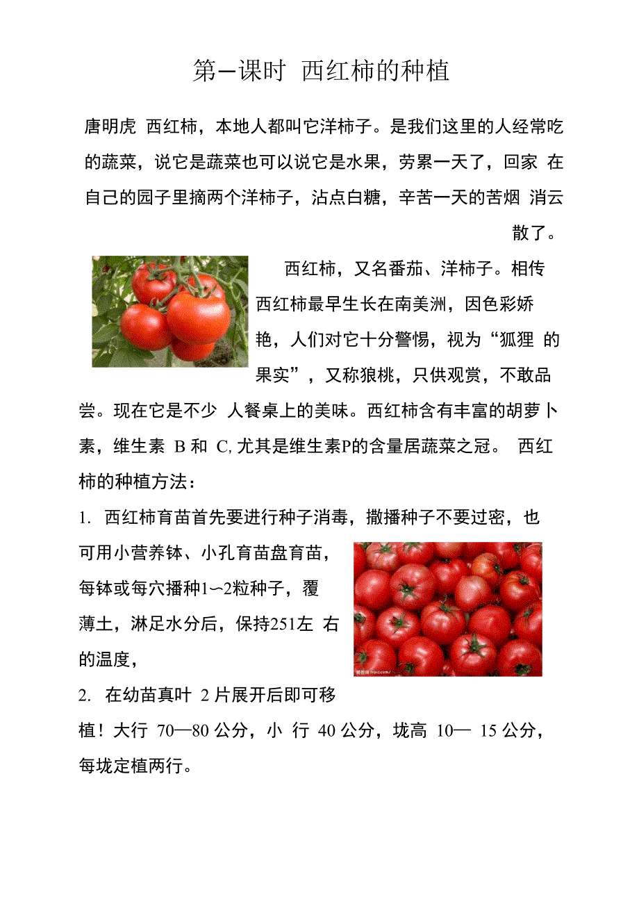西红柿的种植校本教材_第1页