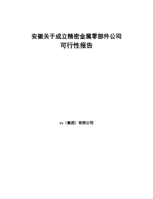 安徽关于成立精密金属零部件公司可行性报告(DOC 93页)
