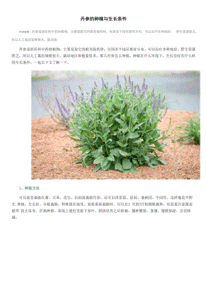 丹参的种植与生长条件