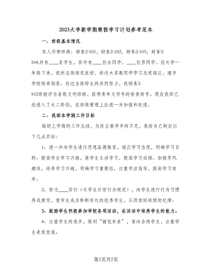 2023大学新学期寒假学习计划参考范本（2篇）.doc