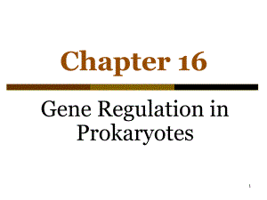 分子生物学课件：ch16 Gene Regulation in Prokaryotes