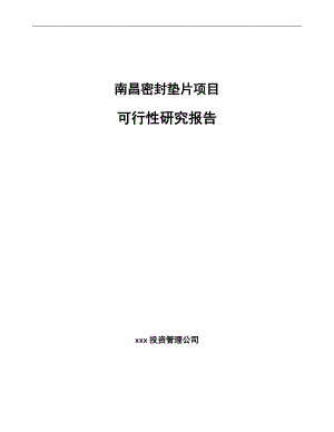 密封垫片项目可行性研究报告模板参考